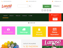 Tablet Screenshot of lanoso.com